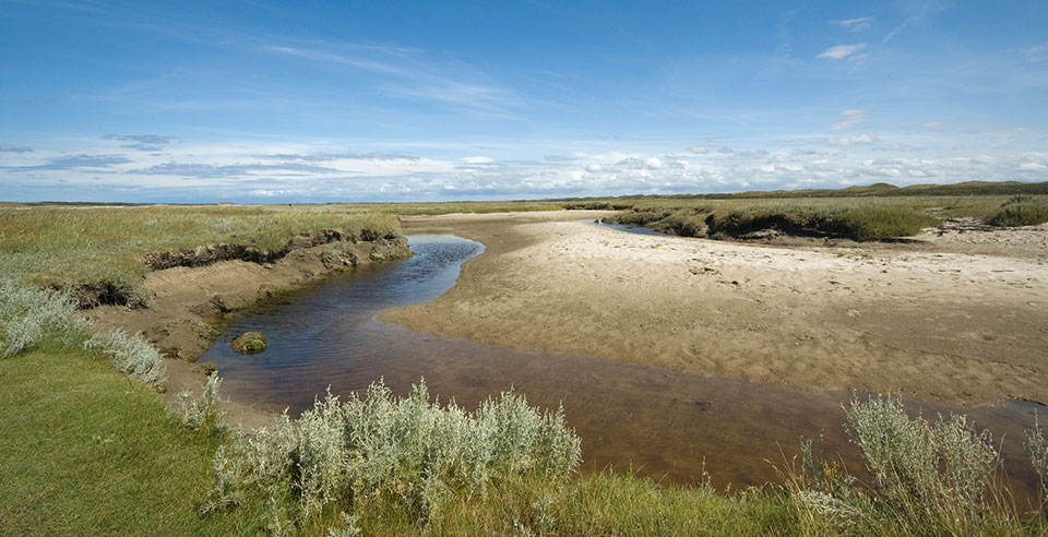 vakantiehuis-op-texel_slufter.jpg