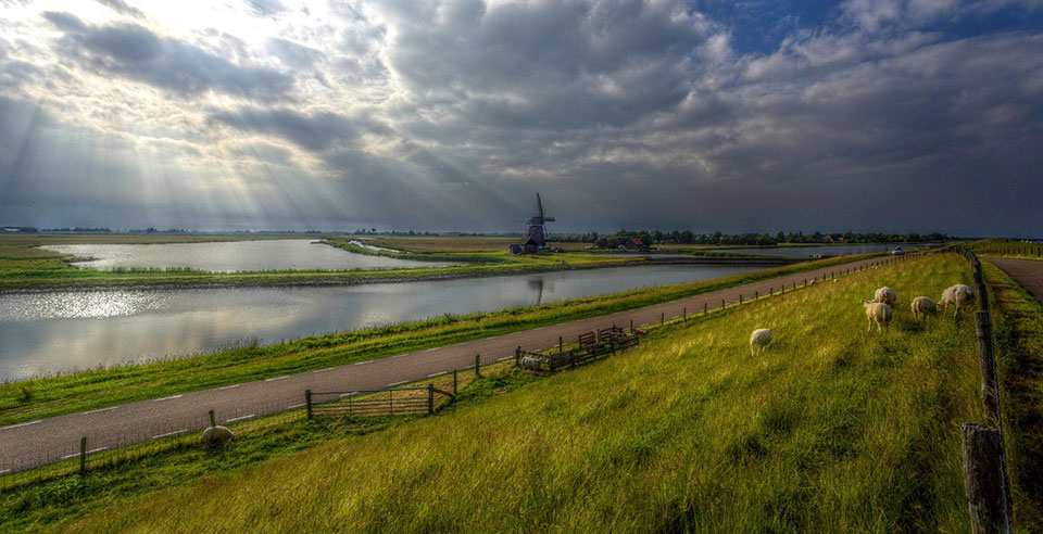 vakantiehuis-op-texel_waddendijk.jpg